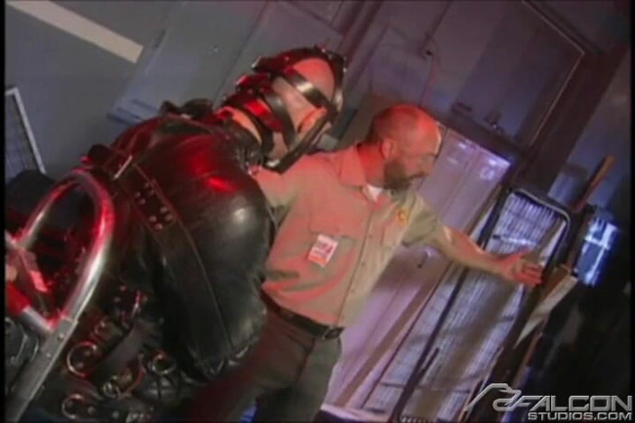 Falcon Studios: Lockdown