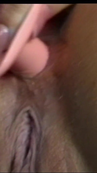 顽皮的组织者