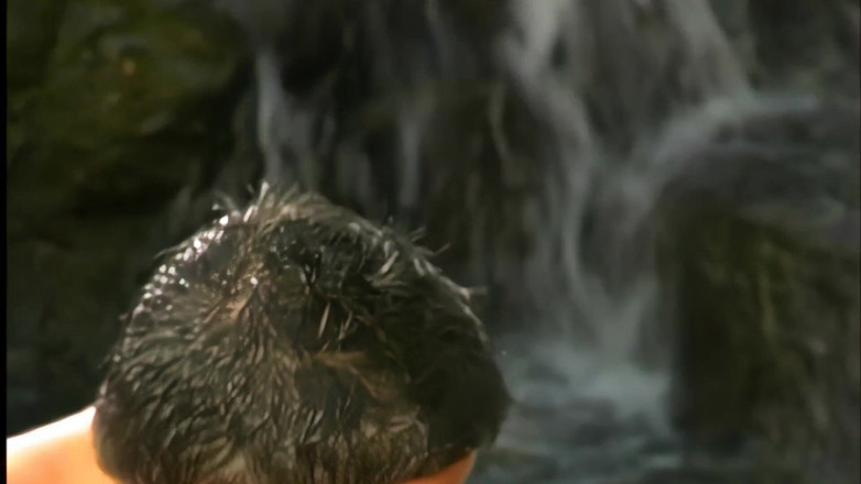 Pervy Studio: Uma verdadeira puta louca por pau