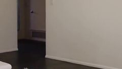 Dustin Hazel Beats Ivy Steele&#039;s Pussy up