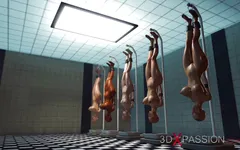 Fucking machine. Japanese college girl gets fucked hard in the kitchen