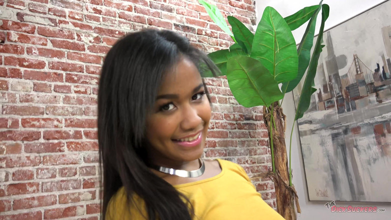 The Dick Suckers: Exotika!