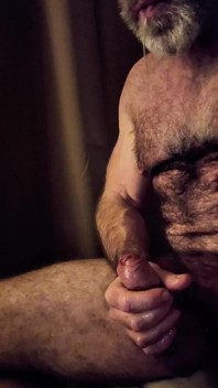 Close up Hairy Uncut Bear