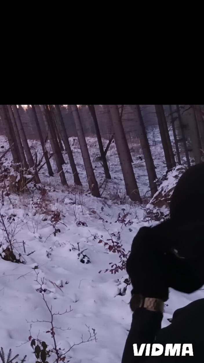 kickerscooter: Kışın çıplak doğa