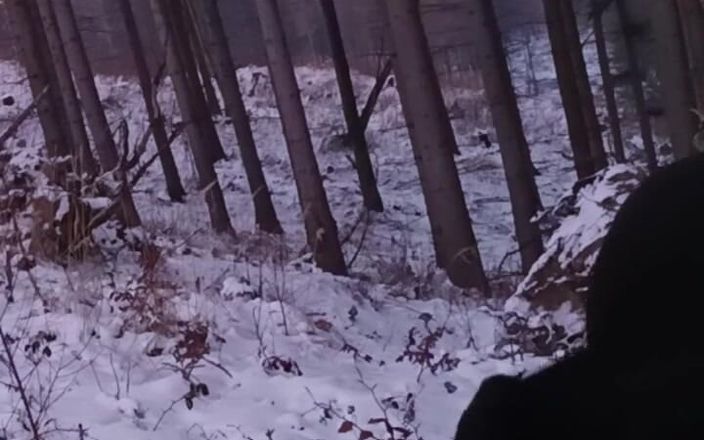 kickerscooter: Natureza nua no inverno