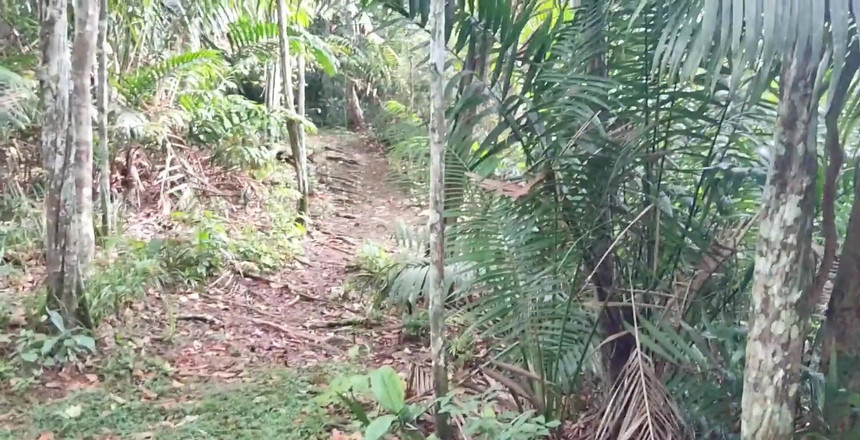 Leyne Rodriguez: Šukání venku, část 2