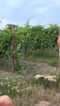 Cuplul homosexual întâlnește un cuplu bi - Letsgobi