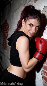 Boxer ebano