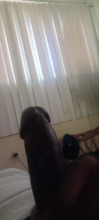 Hello Hello Dick