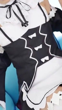 Japanese Anime Cosplay Rem -