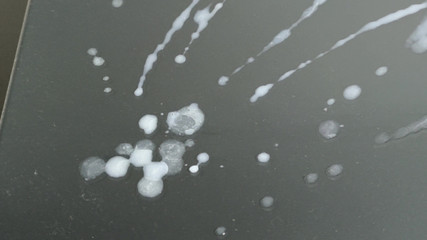 LolaCD: Sc035 - 30H, 3h