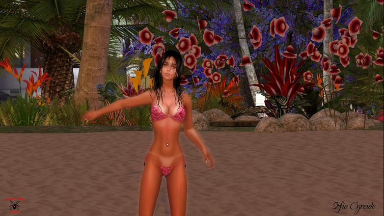 Black Widow Films: Plážový striptýz plný