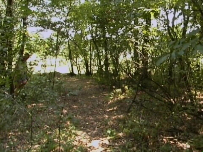 Absolute BDSM films - The original: Buceta fodendo mijando na floresta