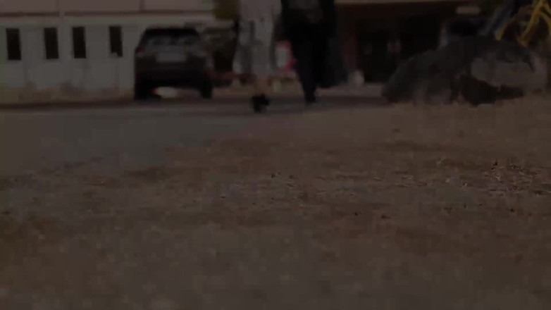 Vulture: Güzel ve gururlu orta yaşlı seksi kadın ve çıplak vücudu kaplıca...