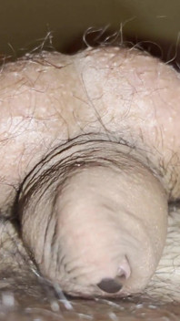 This Is the Smallest Dick of the Universe