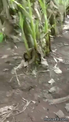 DeadBattery: Ciocia z kochankiem złapana przez męża