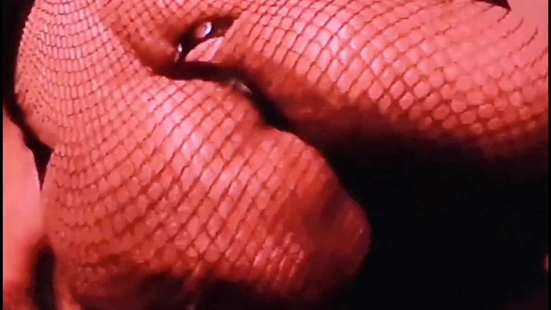 Monster_Meat_: Những tưởng tượng thú vị