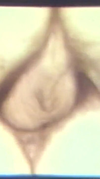 Pay Now Touch Later - (restyling Movie in Full HD Version)