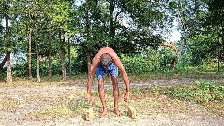 LinearOrnament35: Fitte power