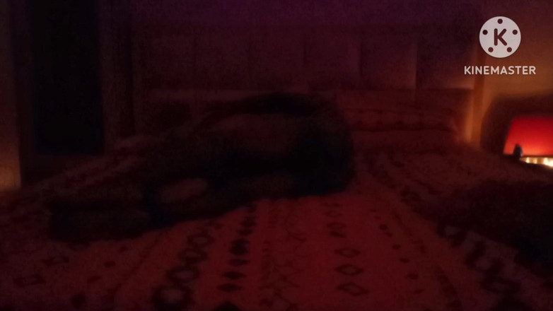 Ankita10000: Hotwife dan bos pejabat di bilik hotel di Jaipur