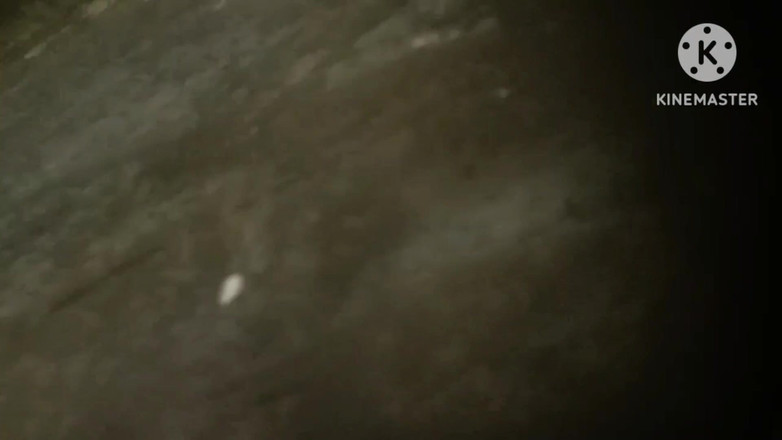 Latifah1234: Grande coño de la tía coño local coño sexy tía...