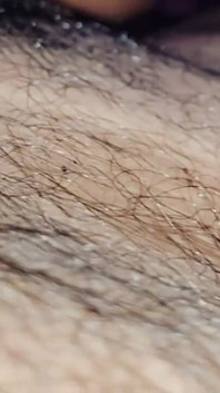 Accident Anal