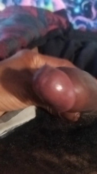 Stroking My Cock