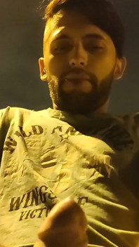 Jerking off in the street and getting caught multiple times