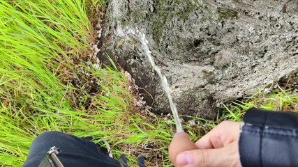 Bayer911: Пирог у дуба