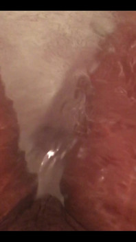 When You Feel Like Making a Bath Bomb Video, but the Pussy Steals the Show