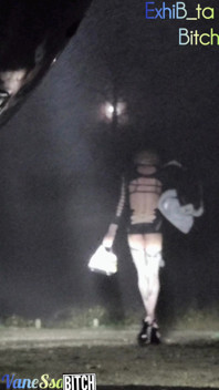 2 Transvestites Offered in the Forest. Waiting for Beautiful Cocks in a Parking Lot. Night Show