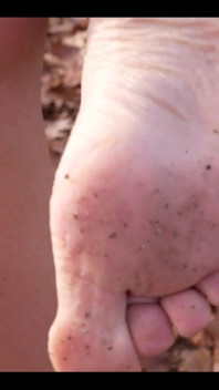 Dirty Soles in the Leaves