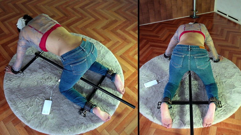 ushirosugatanomiki: Dziewczyna, która jest powściągliwa i zostaje w domu