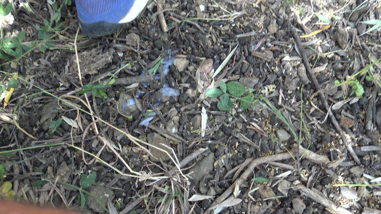 Stepmom Susan: La moglie cornuta nudista matura lascia che sconosciuti random le...