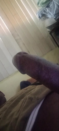 고독한 화난 자지