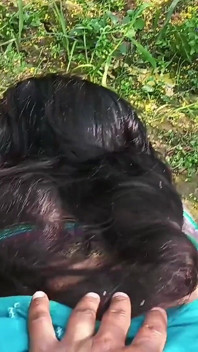 Desi Bhabhi venkovní farma anální video hindské audio indické bhabhi