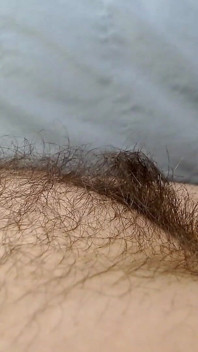 Abby trims & cạo lông dài của Ann