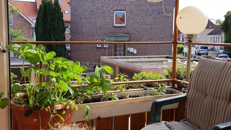 UserBitch1: BJ di balkon