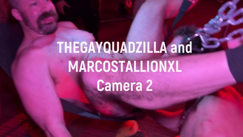 The Gay Quadzilla: Bear Cruises the Dark Rooms