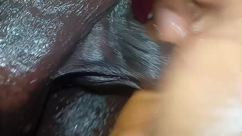 Badman4606: Valentýnské velké černé péro