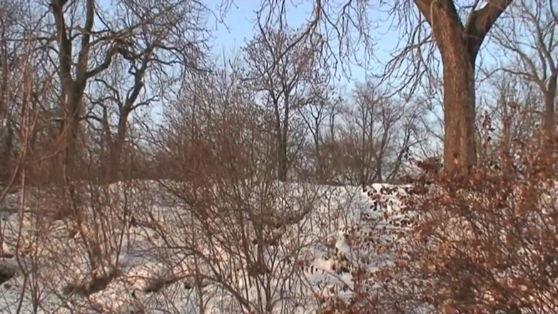 East Public: Exhibitionists have sex in the snow in front of passers-by...