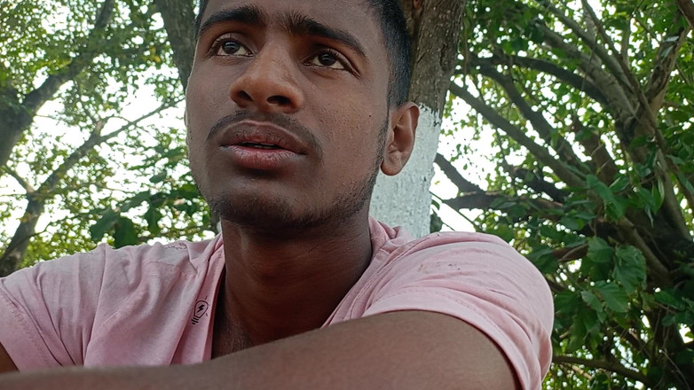 LinearOrnament35: Talking Video