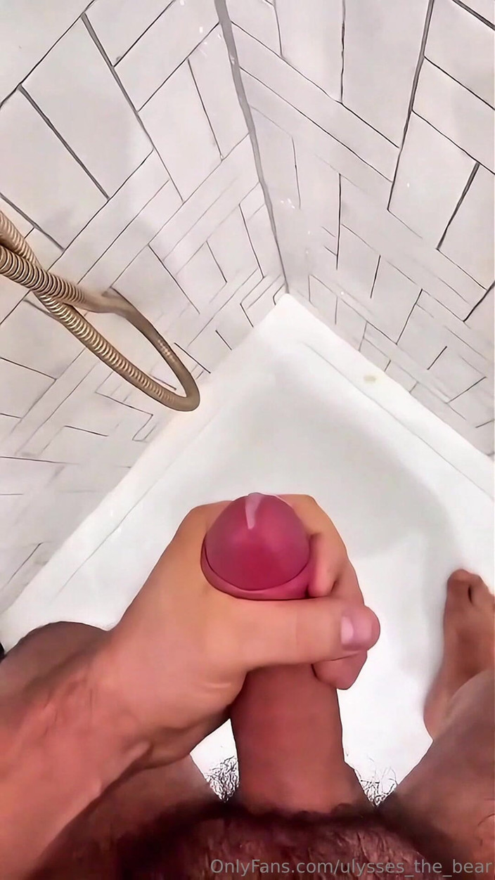 Ulysses the bear: Un carico duro dopo una lunga giornata mentre la giornata...