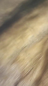 Man Fucks My Fur Coat, Face, Tits and Cums