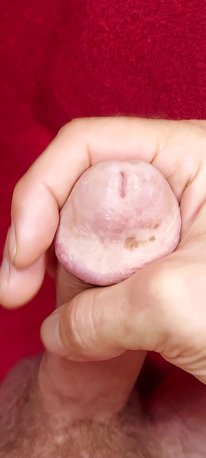 watchfulsilence: Viene più volte a fare un casino