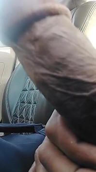 Indian Cock