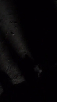 13 centimeter omtrek