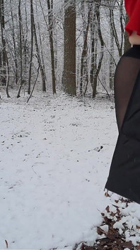 Wandel in De Sneeuw