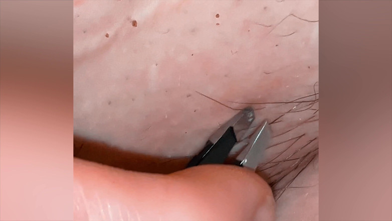 SatisfyingDillyDally: Satised Pulls