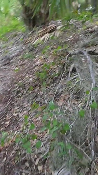 Bts Naturvandring och onani på spår